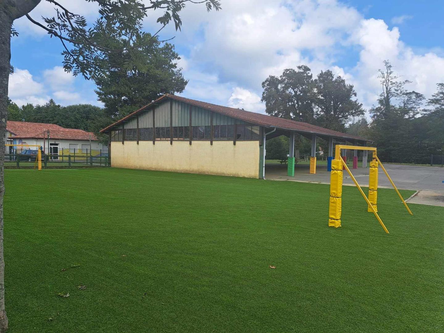 54632396efb4-Gazon-synthetique-a-l-ecole-elementaire.jpg