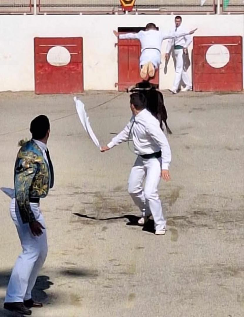 Course Landaise du Printemps Taurin 2025.jpg